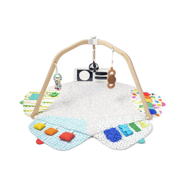 Lovevery The Play Gym in Box REDUCED