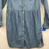 Size 8: Gap Blue Chambray Button-Up Long Sleeve Dress