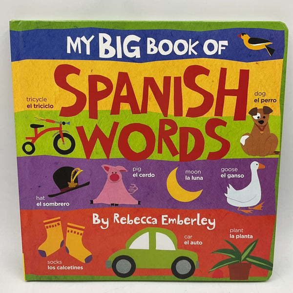 My Big Book of Spanish Words (board book)