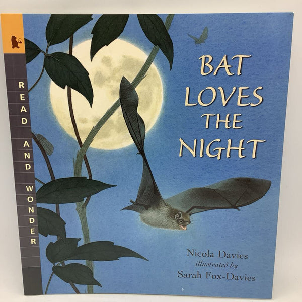 Bat Loves The Night (paperback)