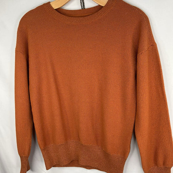 Size 10: Gap Brown Sparkle Sweater