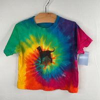 Size 12m: The Black Dog Rainbow Tie-Dye T-Shirt