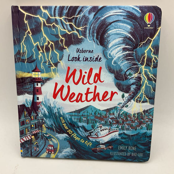 Usborne Look Inside Wild Weather (board book)