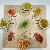 Wooden Leaf Puzzle