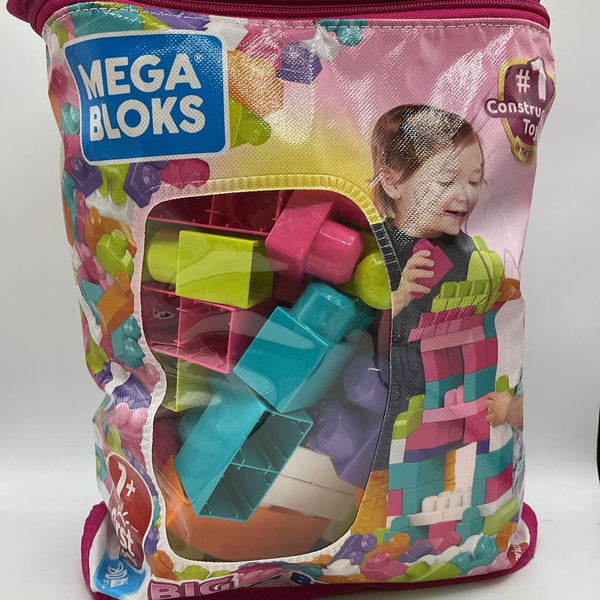 Bag of Assorted Megabloks