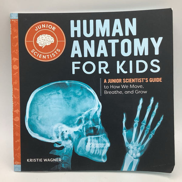 Human Anatomy for Kids (paperback)