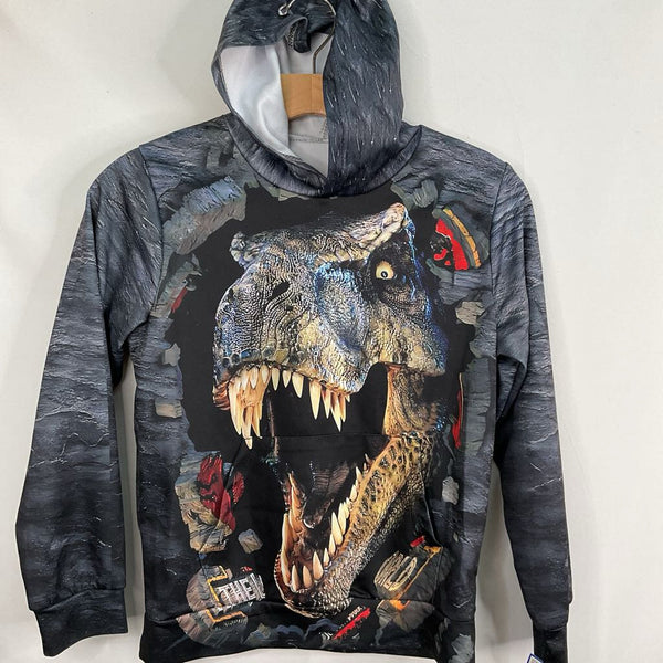 Size 10: Blue/Colorful Dino Pullover Hoodie