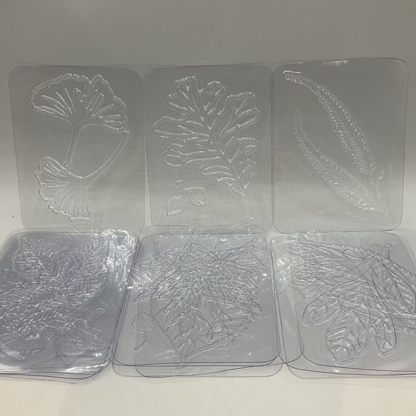 Leaf Rubbing Plate Set