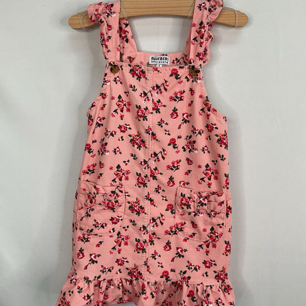 Size 4: Blueberi Boulevard Pink/Green Floral Corduroy Overall Dress