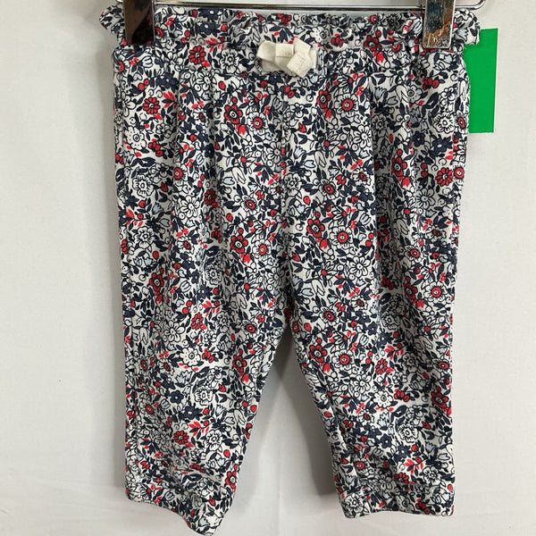 Size 3-6m: Gap Red/White/Blue Floral Cozy Pants