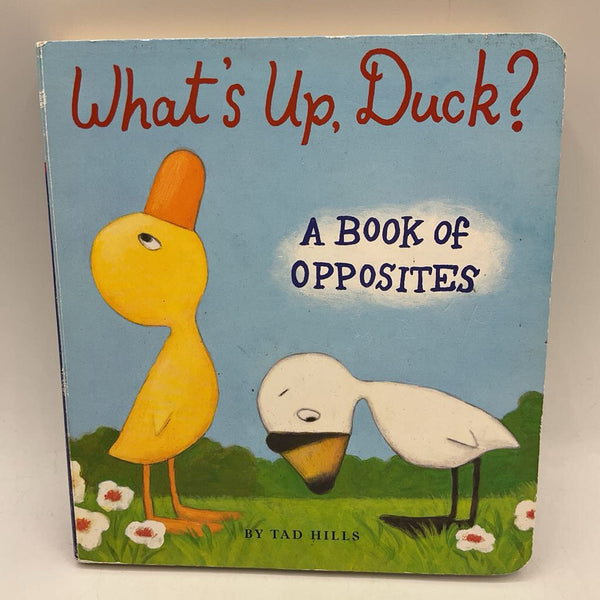 What's Up, Duck? A Book of Opposites