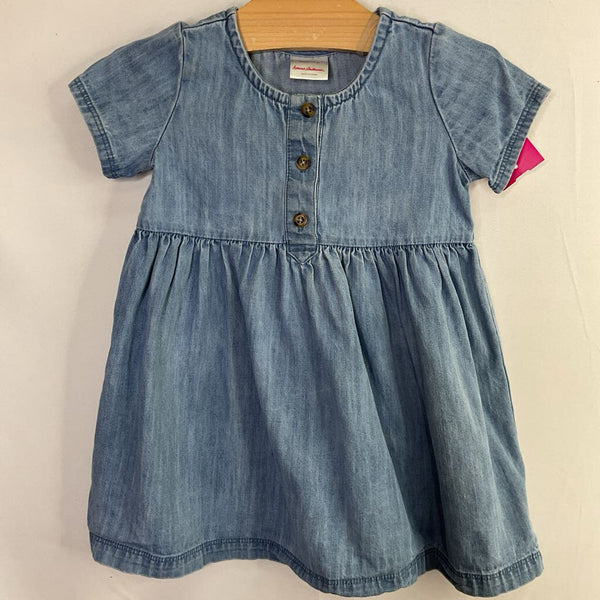 Size 2 (85): Hanna Andersson Blue Chambray Dress