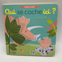 Que se Cache Ici (board book)