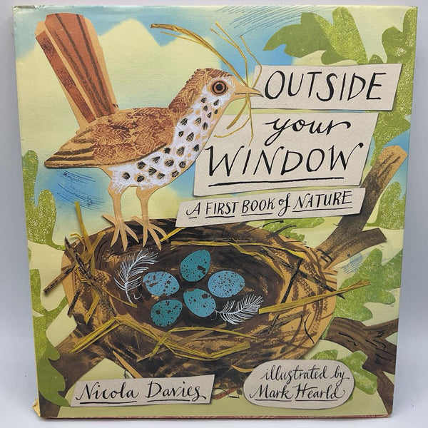 Outside Your Window: A First Book of Nature (hardcover)