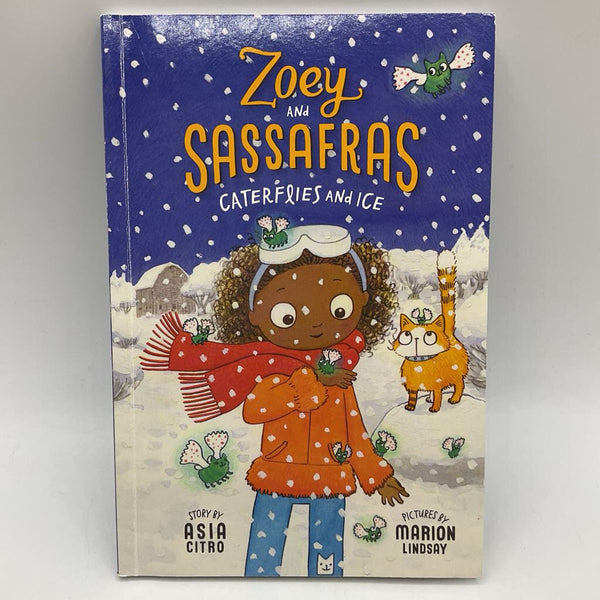 Zoey And Sassafras Caterflies And Ice (paperback)