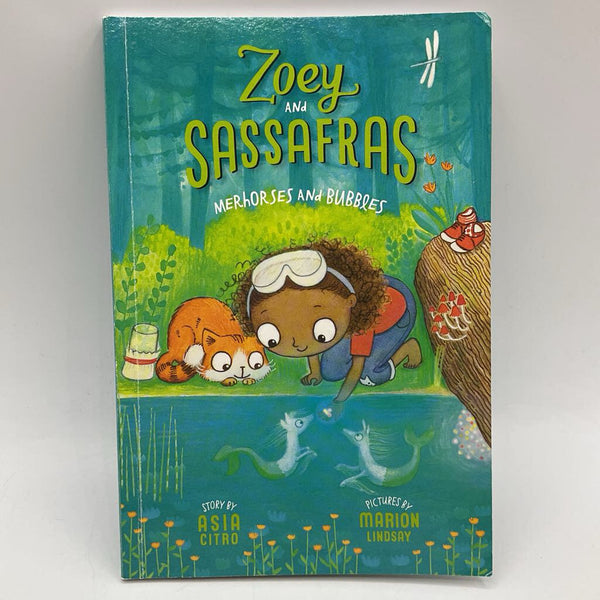 Zoey And Sassafras Merhorses And Bubbles (paperback)