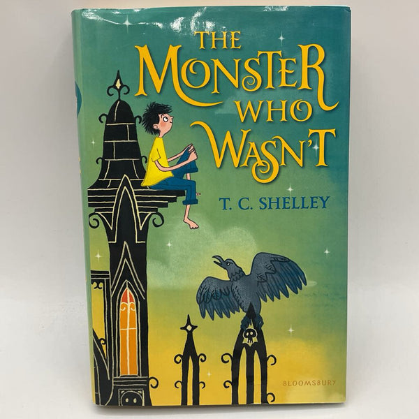 The Monster Who Wasn't (hard cover)