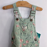 Size 2: OshKosh Green/Pink/Blue Floral Overalls