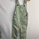 Size 2: OshKosh Green/Pink/Blue Floral Overalls