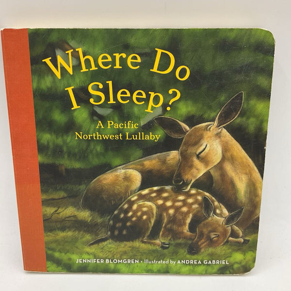 Where Do I Sleep? (board book)