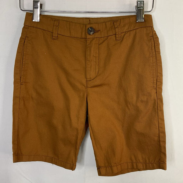 Size 7: H&M Brown Adjustable Waist Shorts