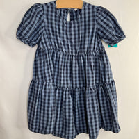 Size 6: Gap Blue Gingham Dress