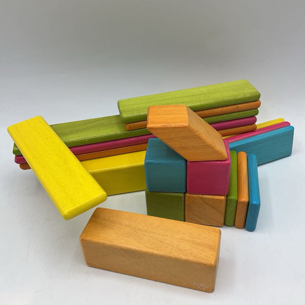 Tegu 20pc Wooden Magnetic Blocks
