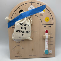 Moon Picnic My Weather Station