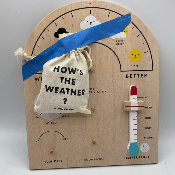 Moon Picnic My Weather Station