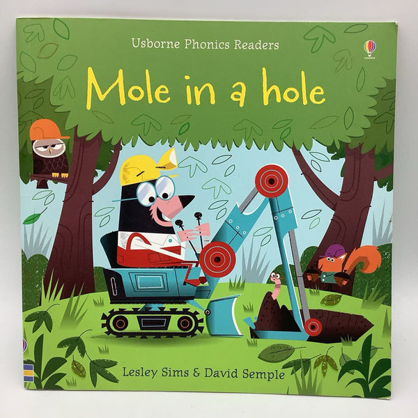 Mole in a Hole (paperback)