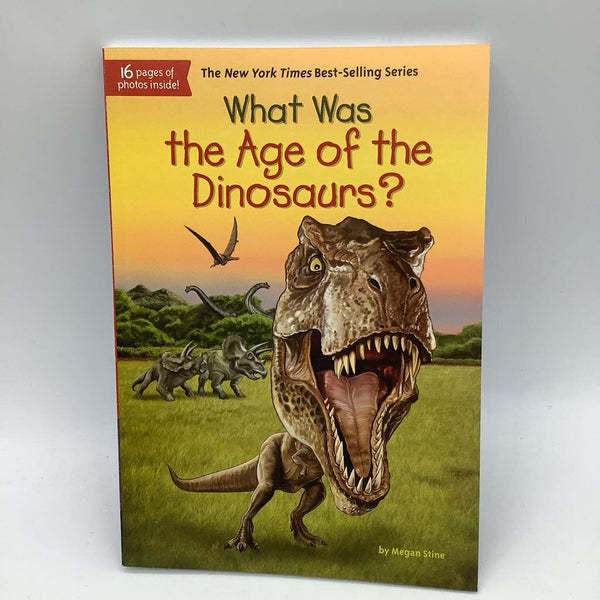 What Was the Age of the Dinosaurs? (paperback)