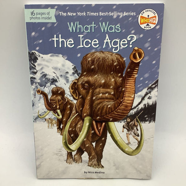 What Was the Ice Age? (paperback)