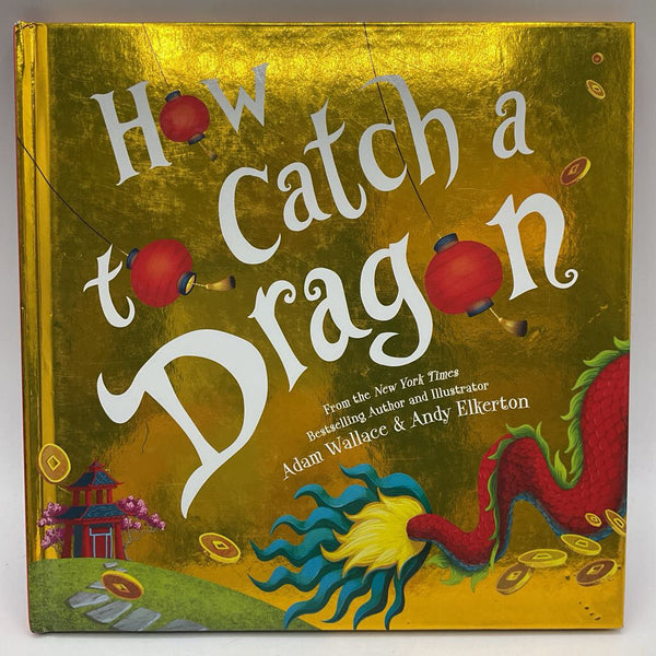 How to Catch a Dragon (hardcover)