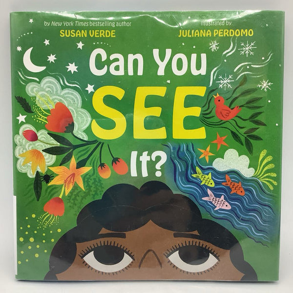 Can You See It? (hardcover)