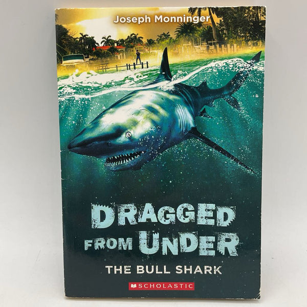 Dragged From Under (paperback)