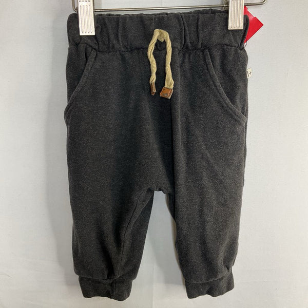Size 12m: 1 + In the Family Gray Sweatpants