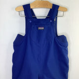 Size 3: Patagonia Blue Snow Bib