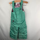 Size 3: Patagonia Green/Purple Trim Snow Bib (retails $160)