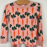 Size 4 (100): Hanna Andersson Pink/Multi Carrot 2pc PJs