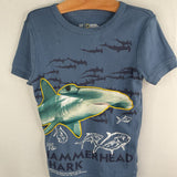 Size 8: Gap x NatGeo Blue Sharks 2pc PJs