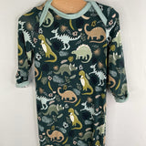 Size NB: Emerson Green Dinosaurs 1pc Nighty PJs