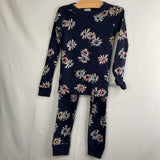 Size 5 (110): Hanna Andersson Blue/Multi Floral 2pc PJs
