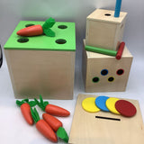 Adena Montessori Wooden Sorting Box