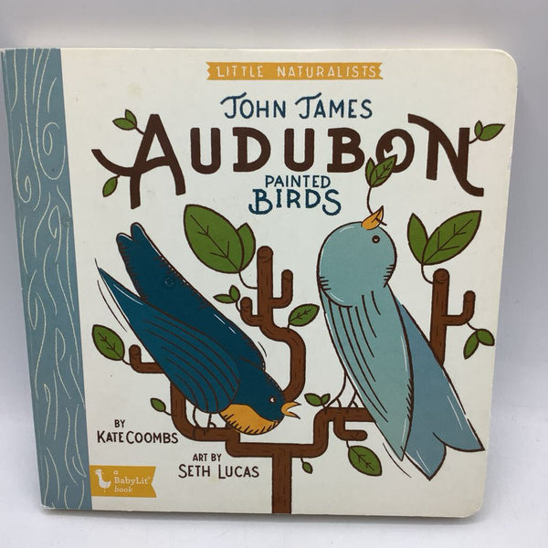 John James Audobon Painted Birds (board book)