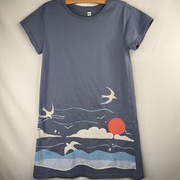 Size 8-10: Tea Blue/Orange/White Seaside Birds Dress